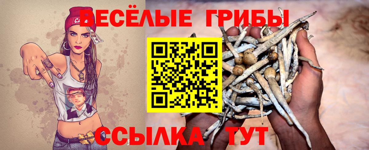 Псилоцибиновые грибы Magic Shrooms  Вход с VPN  Беслан 